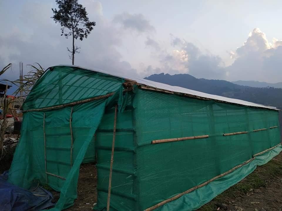 Seasonal Vegetable Seedling Production Project